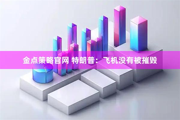 金点策略官网 特朗普：飞机没有被摧毁