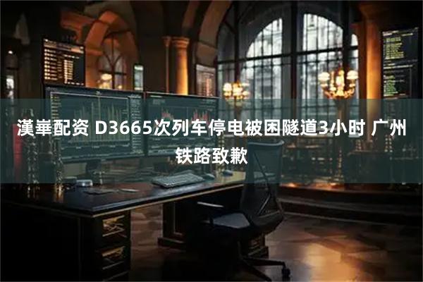 漢崋配资 D3665次列车停电被困隧道3小时 广州铁路致歉