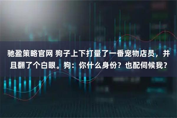 驰盈策略官网 狗子上下打量了一番宠物店员，并且翻了个白眼。狗：你什么身份？也配伺候我？